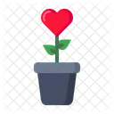 Liebe Pflanze Pflege Symbol