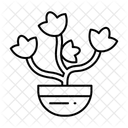  Icône
