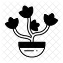  Icône