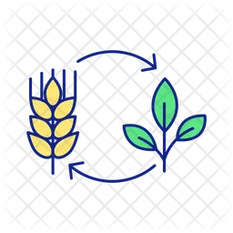 Life stages of agricultural plant growing  Icon