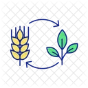 Life Stages Of Agricultural Plant Growing Icon