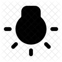 Light Camera Lamp Icon