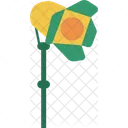 Lighting Light Lamp Icon