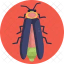 Lightning Bug Bugs Insect アイコン