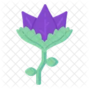 Lila Tulpe  Symbol