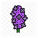 Lilac Flower Spring Icon