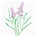 Lilac Nature Plant Icon