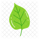 Leaf Ash Leaf Beech Leaf Icon