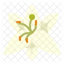 Lilie Blume Duft Symbol