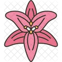 Lilienblüte  Symbol