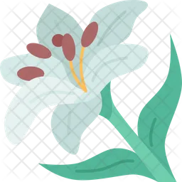Lilies  Icon