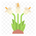 릴리 식물 자연 아이콘