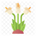 릴리 식물 자연 아이콘