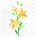 Lilly Flower Blossom Icon