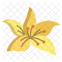 Lilly Flower Flowers Icon