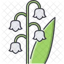 Lily Valley Flower Icon