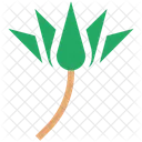 Lily Lotus Flower Icon