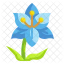 Lily Flower Blossom Icon