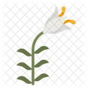 Lily Flower Garden Icon