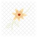 Lily  Symbol