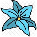Lily Lily Flower Flower Icon