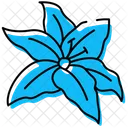 Lily Lily Flower Flower Icon