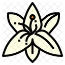 Lily Flower Perfume Icon