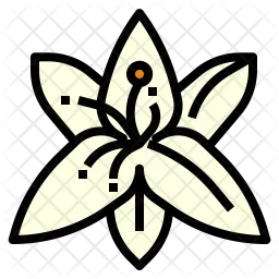 Lily Flower  Icon