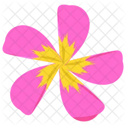 Lily Flower  Icon