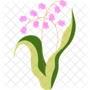Lily Flower Decorative Flower Floral Decoration Icon