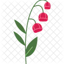 Lily Flower Flower Bloom Icon