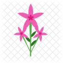 Lily flower  Icon