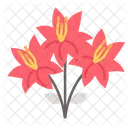 Lily Flowers Icon