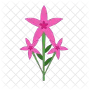 Lily Flower Decorative Flower Floral Decoration Icon