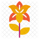 Lily Flower Nature Icon