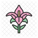Lily Flower Nature Icon