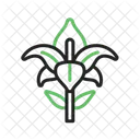 Lily Flower Nature Icon