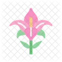 Lily Flower Nature Icon