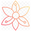 Lily Flower Nature Icon
