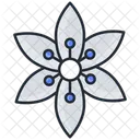 Lily Flower Nature Icon