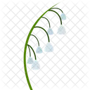 Lily Of The Valley Spring Nature Icon