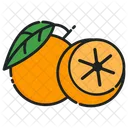 Lime Fruit Healthy Icon