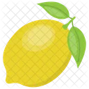 Lemon Lime Organic Icon