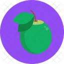 Exotic Fruits Lime Fruit Icon