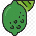 Lime Lemon Green Icon