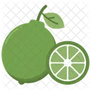 Lime Lemon Food Icon
