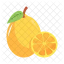 Citrus Vitamin Food Icon