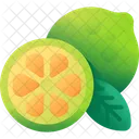 Lime Lemon Fruit Icon