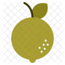 Lime  Icon