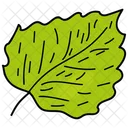 Lime Leaf Leaf Foliage Icon